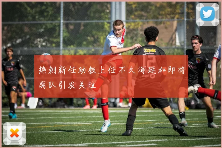 热刺新任助教上任不久海廷加即将离队引发关注